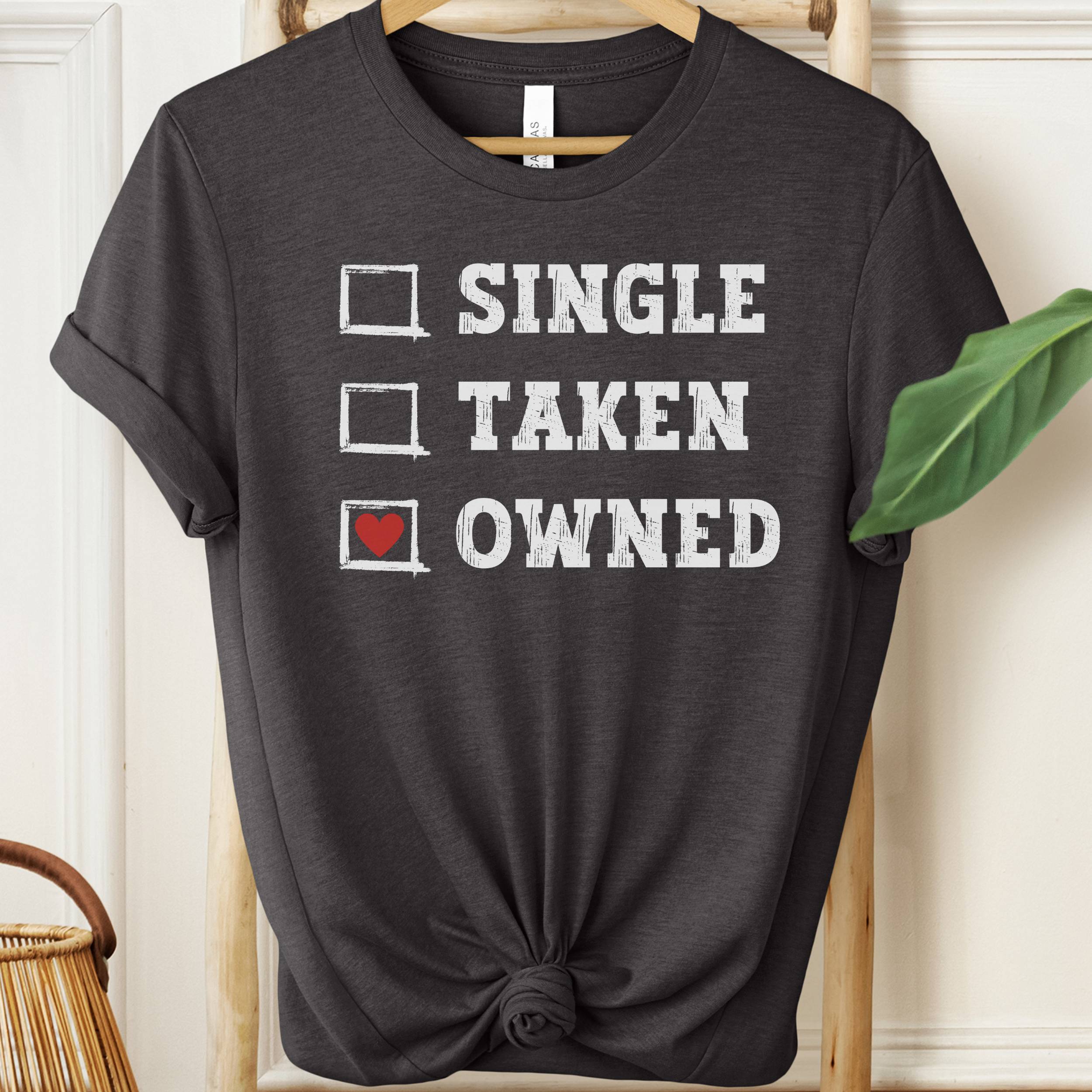 Black t-shirt with text 'Single, Taken, Owned' on a hanger.