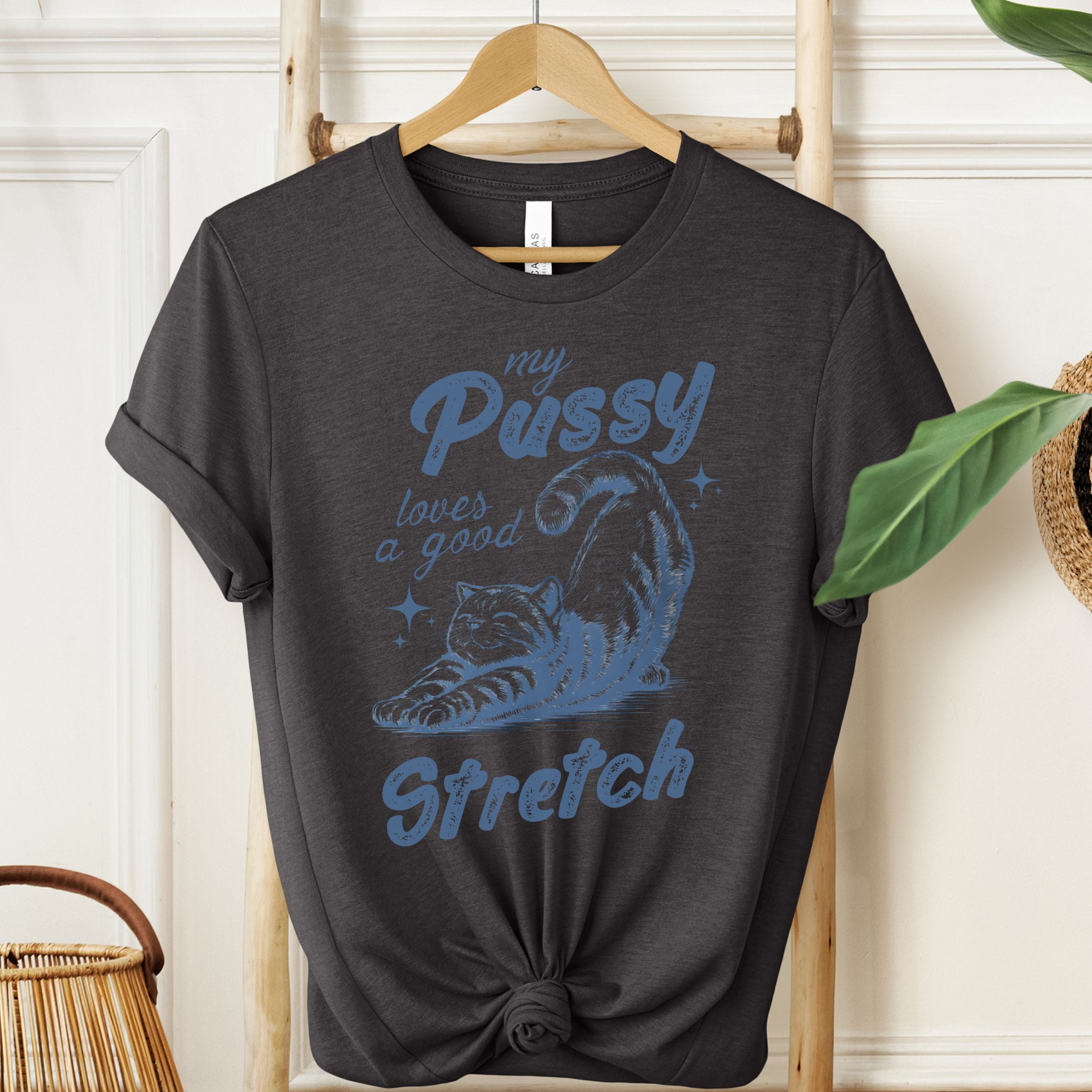 My Pussy Loves A Good Stretch Graphic Tee | Funny Adult T-Shirt