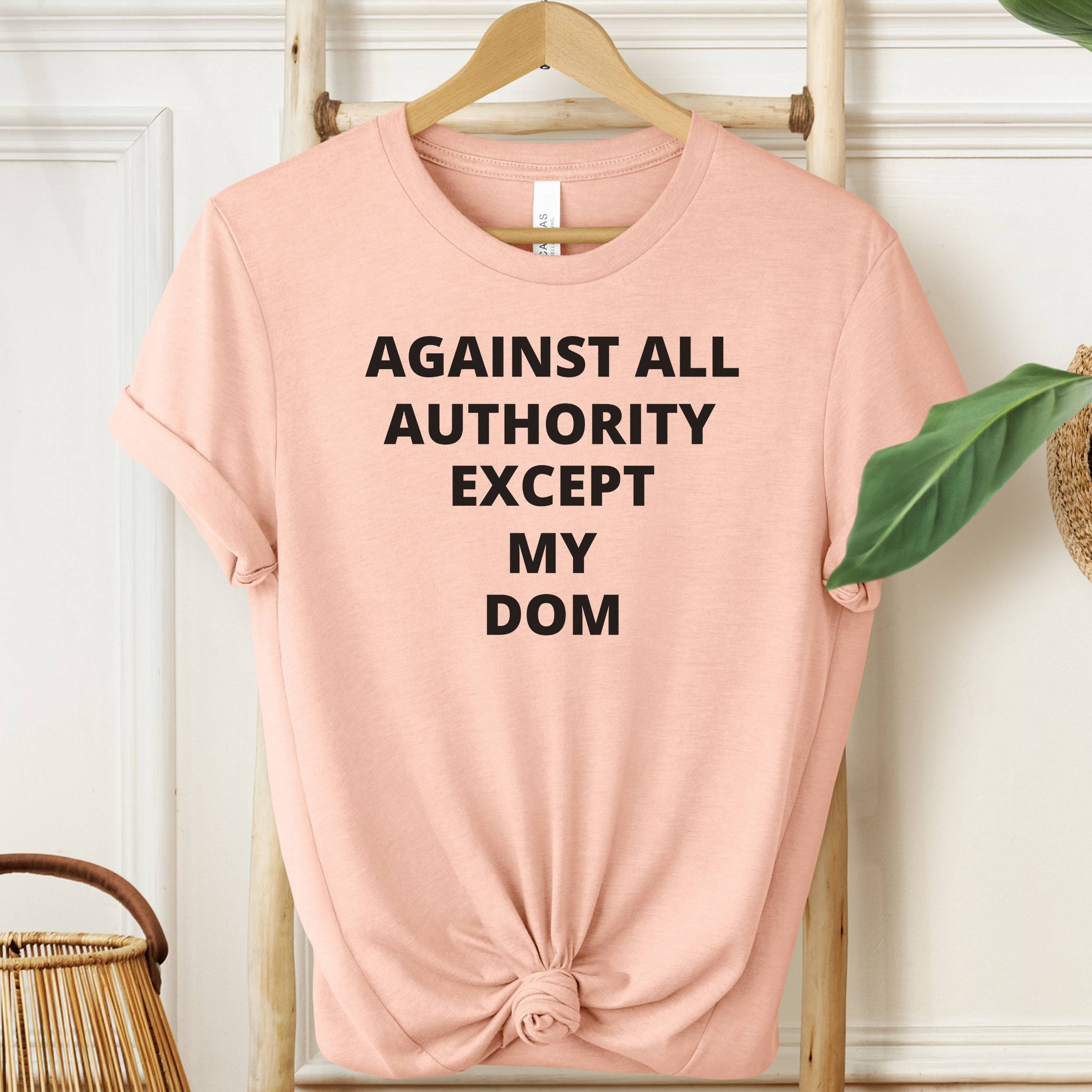 Pink t-shirt with text 'AGAINST ALL AUTHORITY EXCEPT MY DOM' on a hanger.