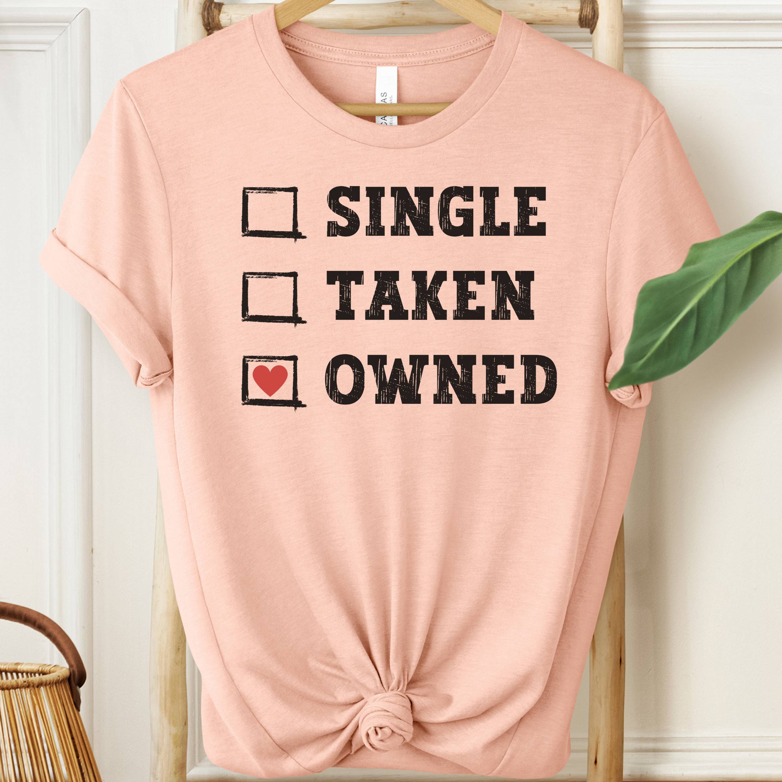 Pink t-shirt with text 'Single, Taken, Owned' on a hanger.