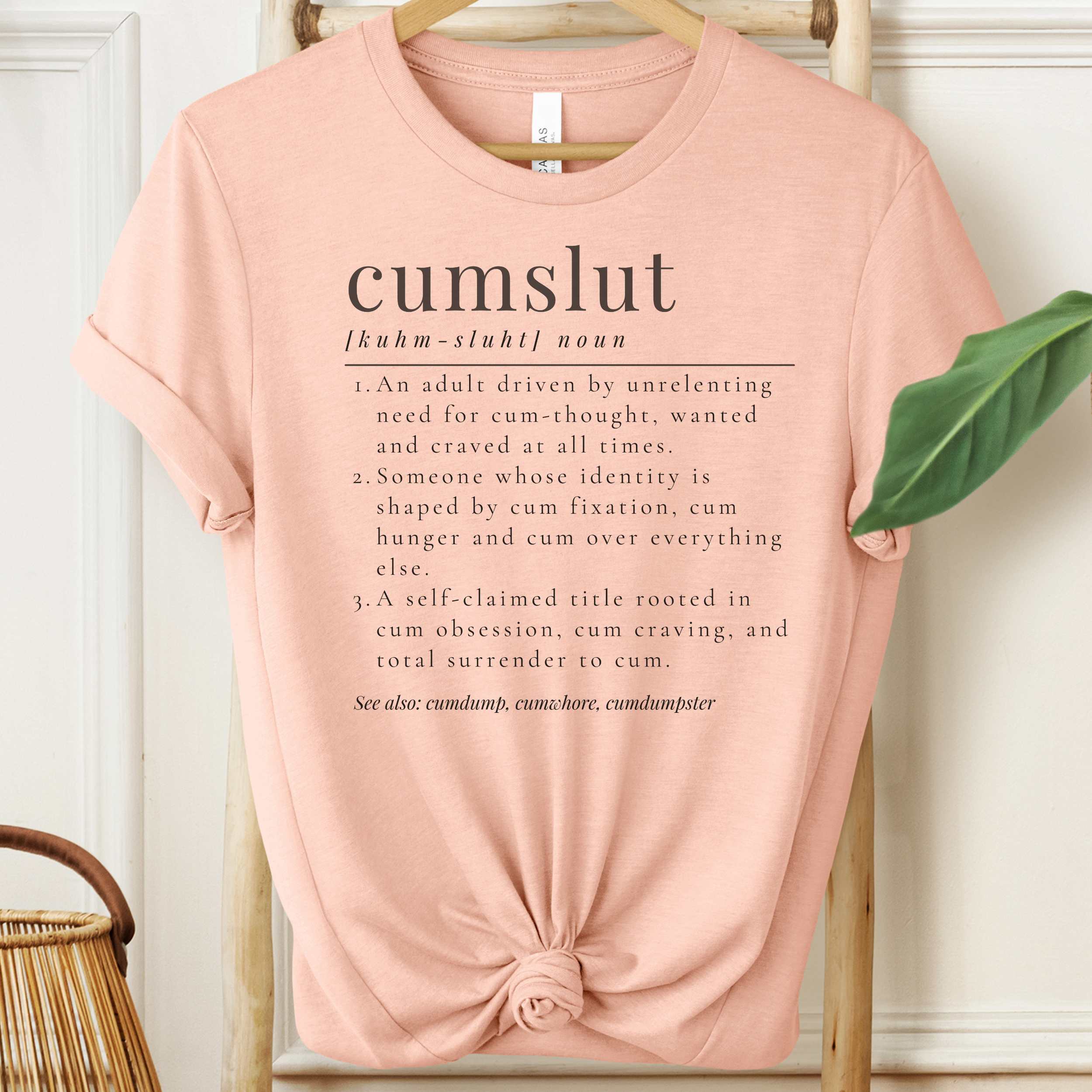 Pink t-shirt with humorous definition text on a hanger.