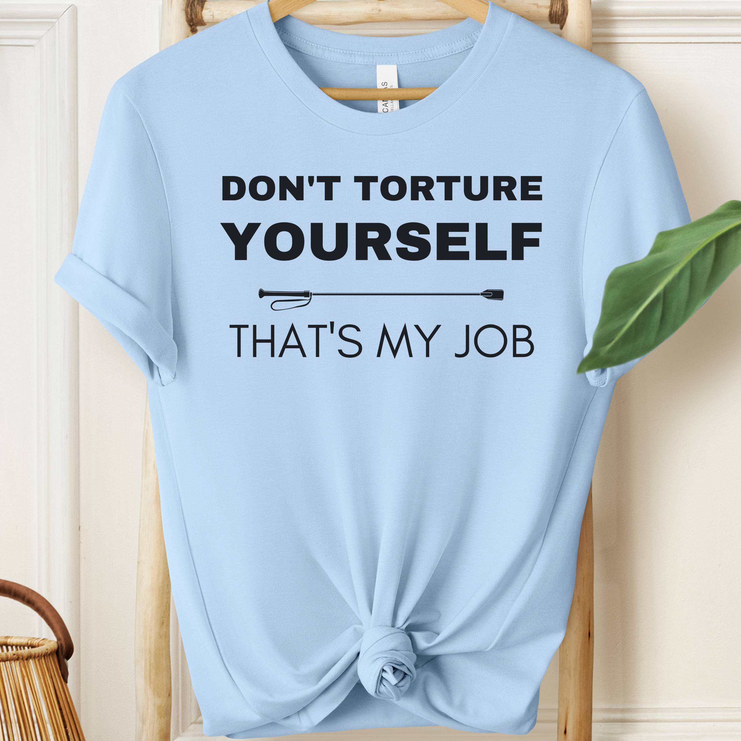 Light blue t-shirt with humorous text design on a wooden hanger.