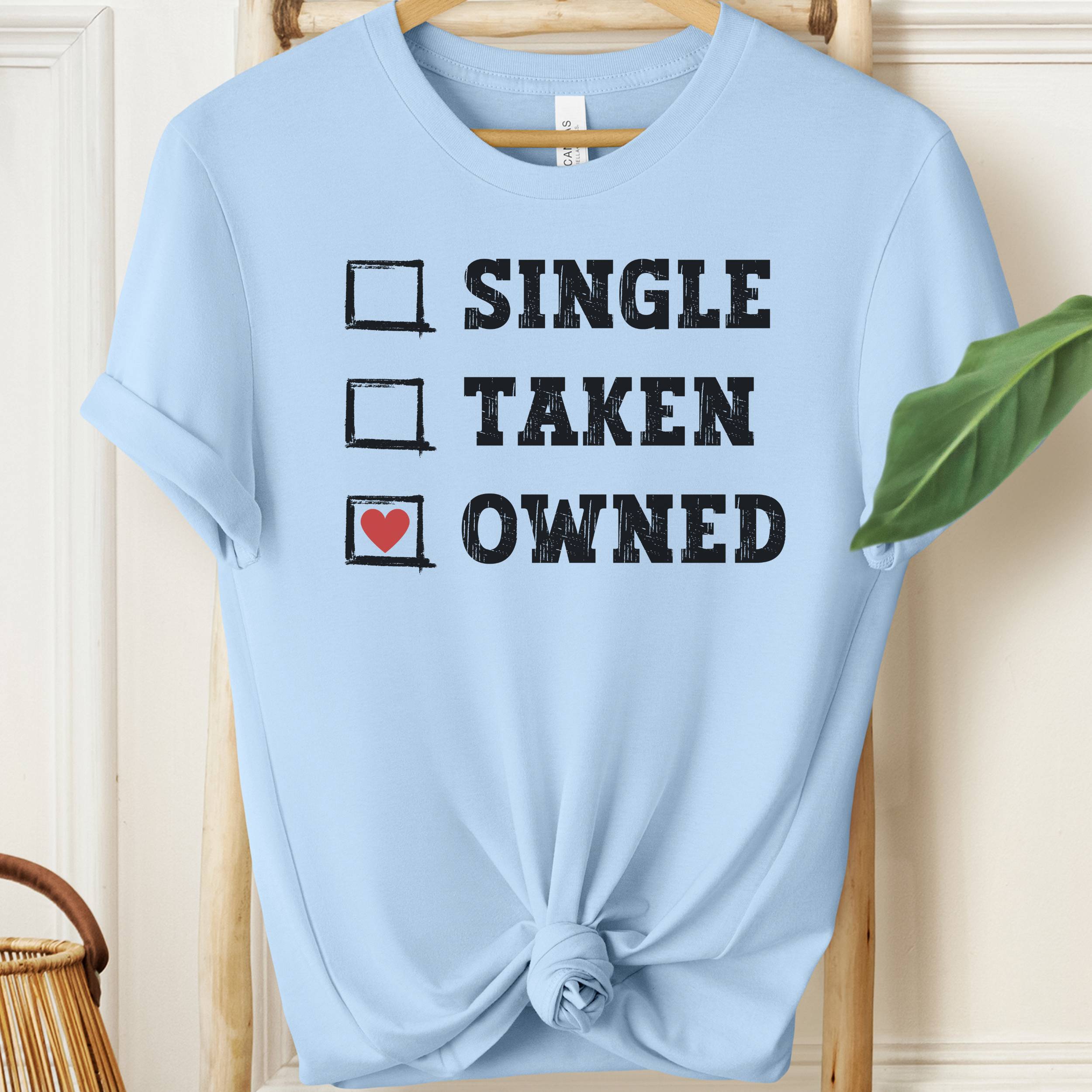 Light blue t-shirt with text 'Single, Taken, Owned' on a wooden hanger.