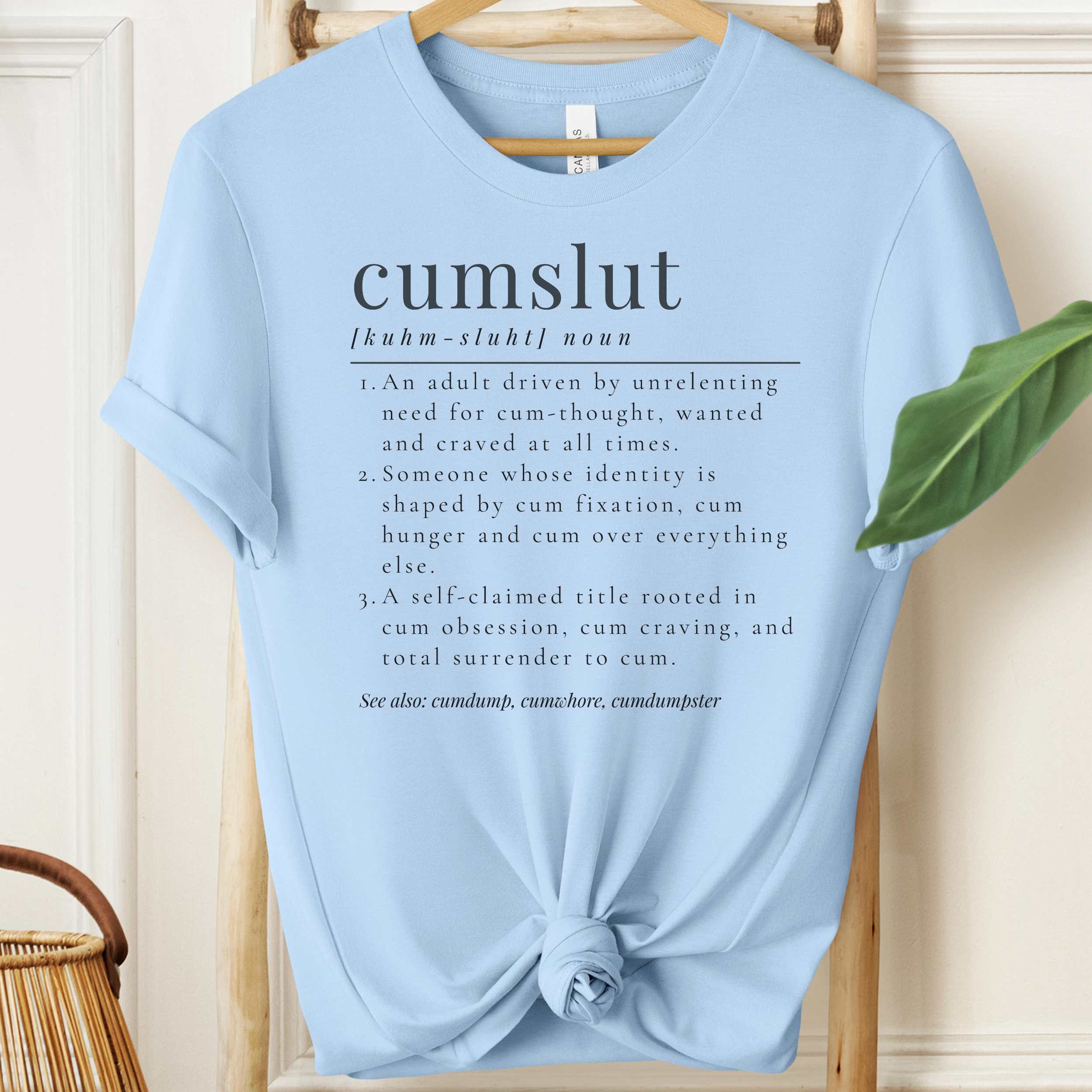 Light blue t-shirt with humorous definition text on a wooden hanger.