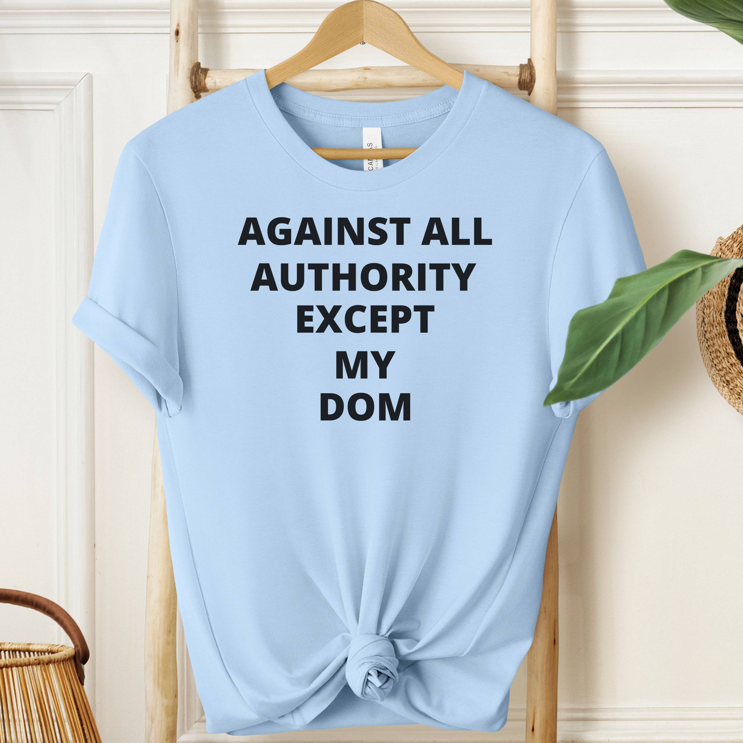 Light blue t-shirt with text 'AGAINST ALL AUTHORITY EXCEPT MY DOM' on a wooden hanger.