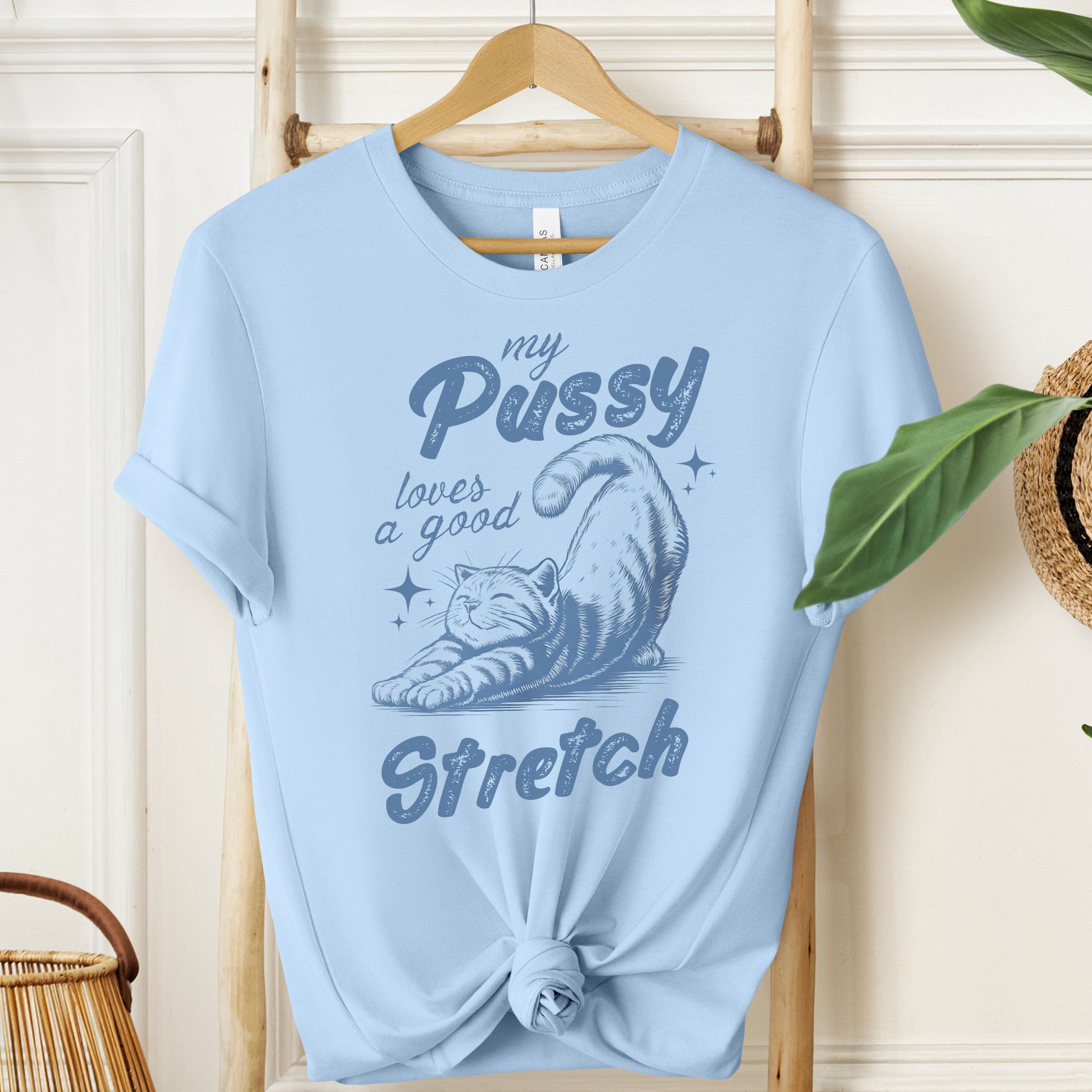 My Pussy Loves A Good Stretch Graphic Tee | Funny Adult T-Shirt