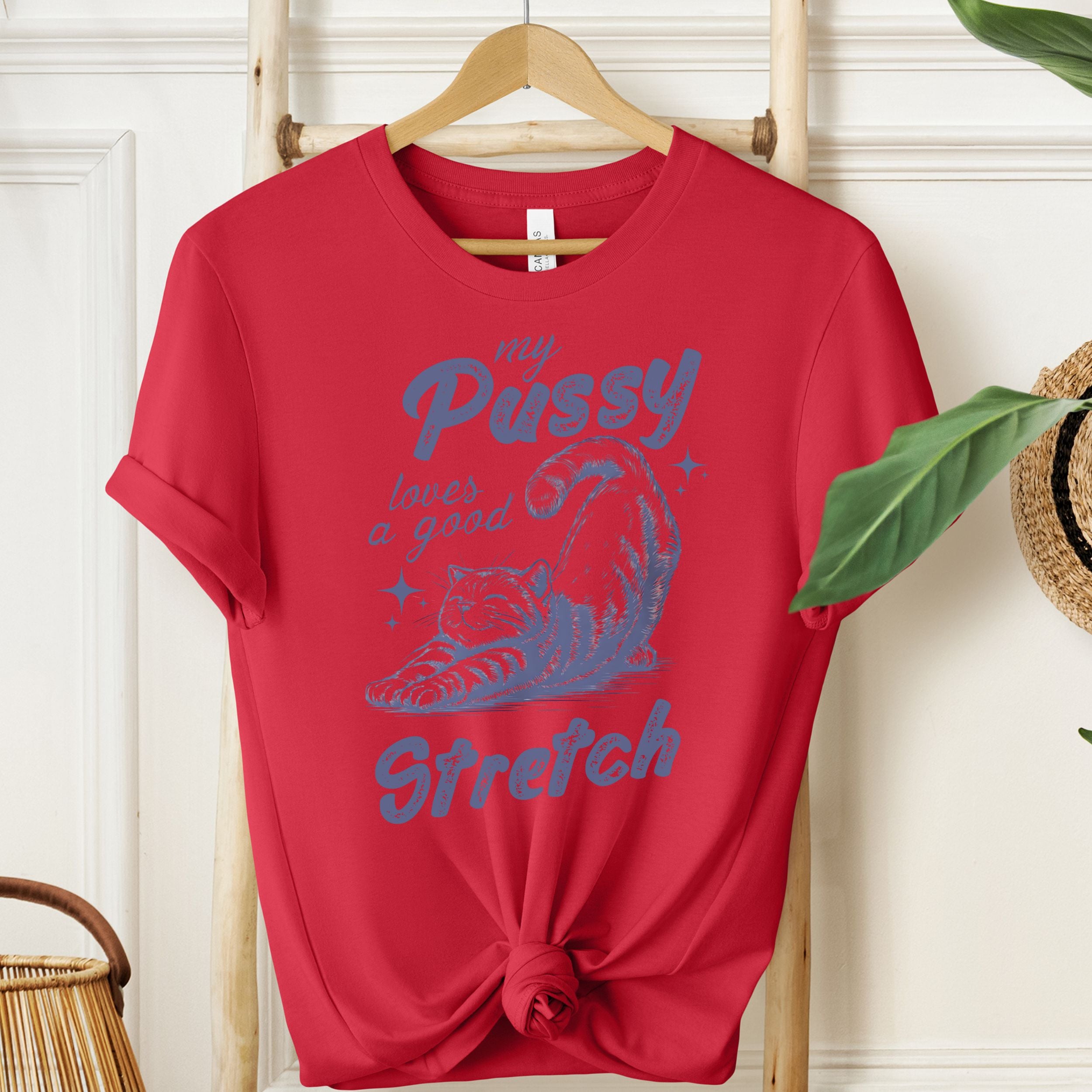 My Pussy Loves A Good Stretch Graphic Tee | Funny Adult T-Shirt