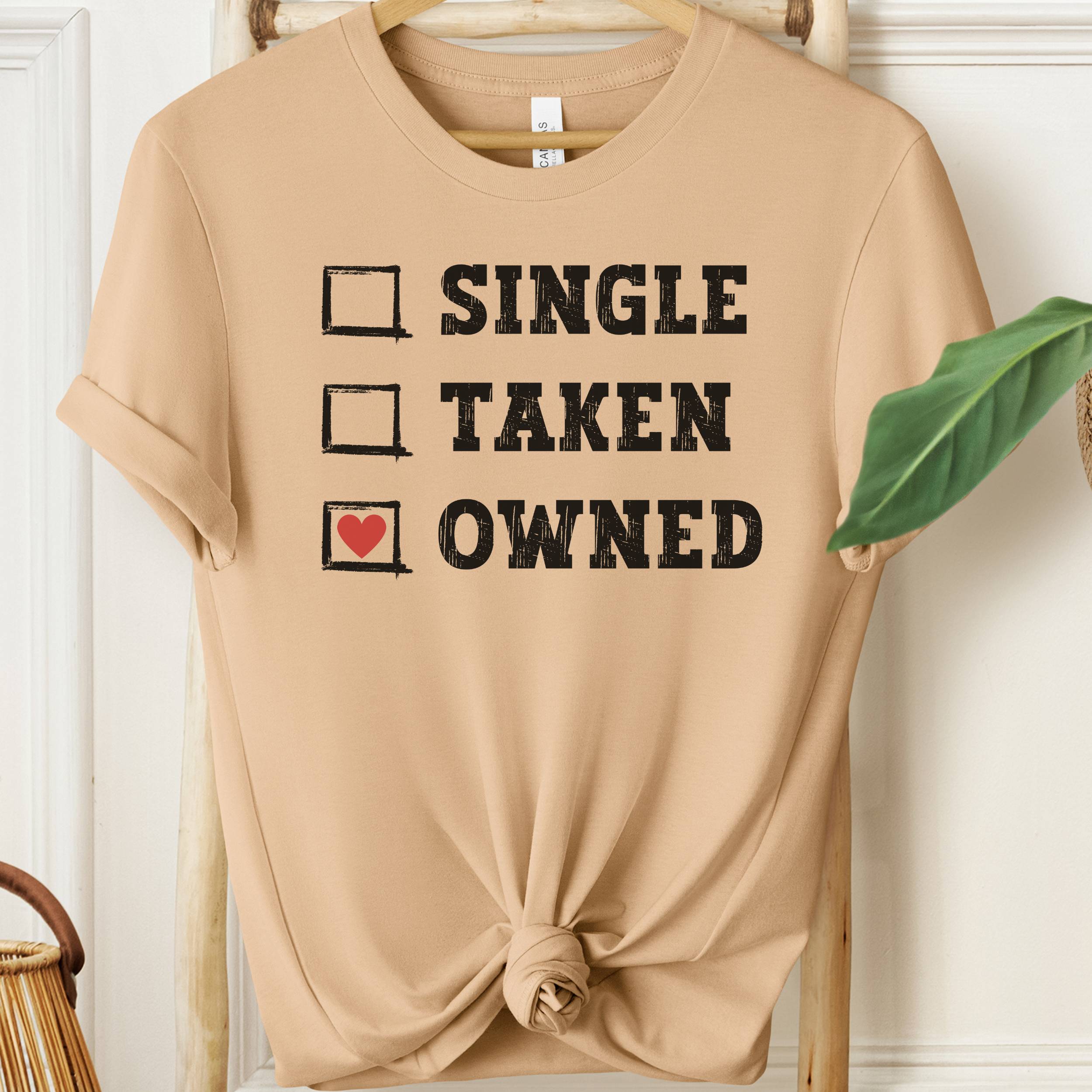 Beige t-shirt with text 'SINGLE “” TAKEN “” OWNED “”' on a wooden hanger.