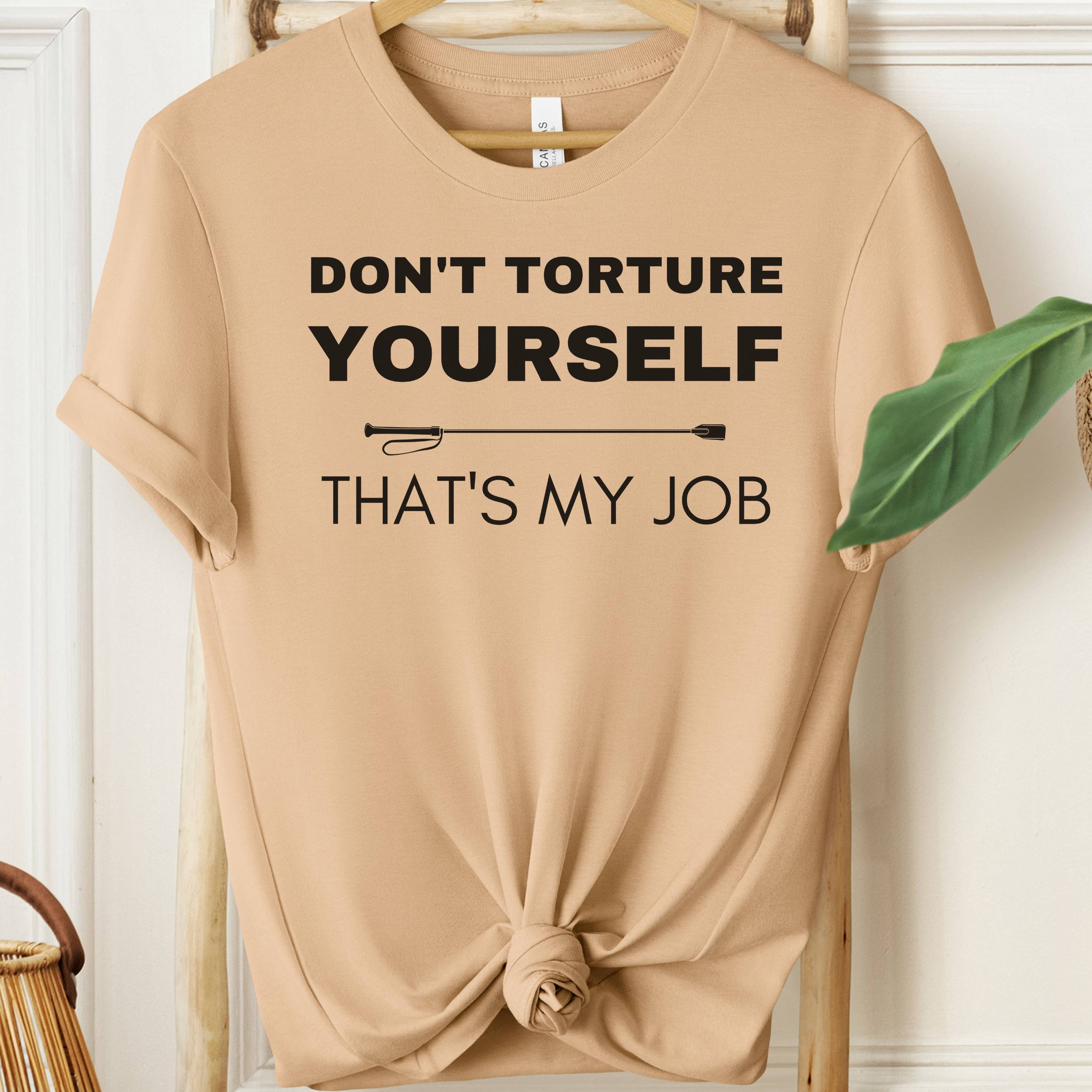 Beige t-shirt with humorous text on a wooden hanger against a white wall.