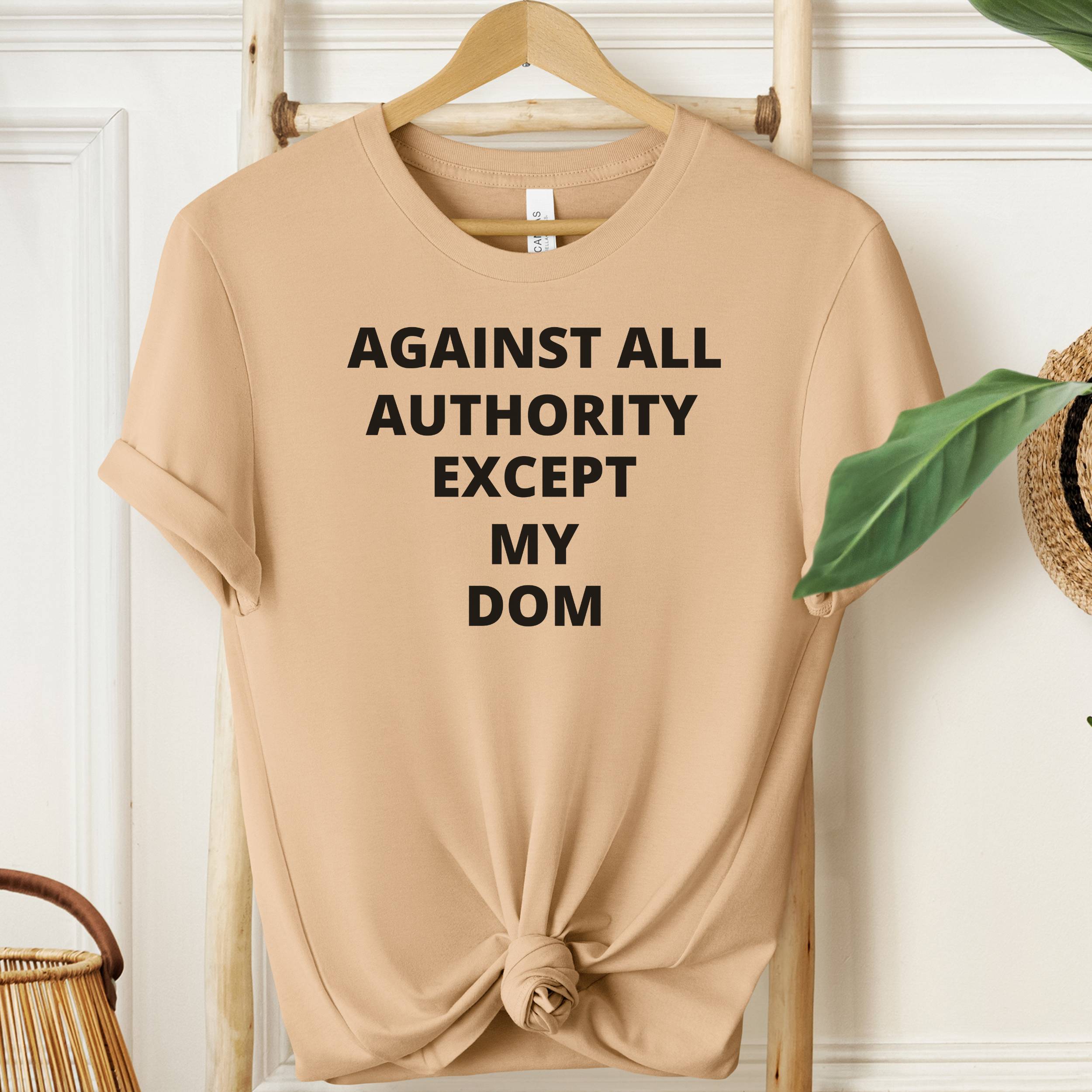 Beige t-shirt with text 'AGAINST ALL AUTHORITY EXCEPT MY DOM' on a wooden hanger.