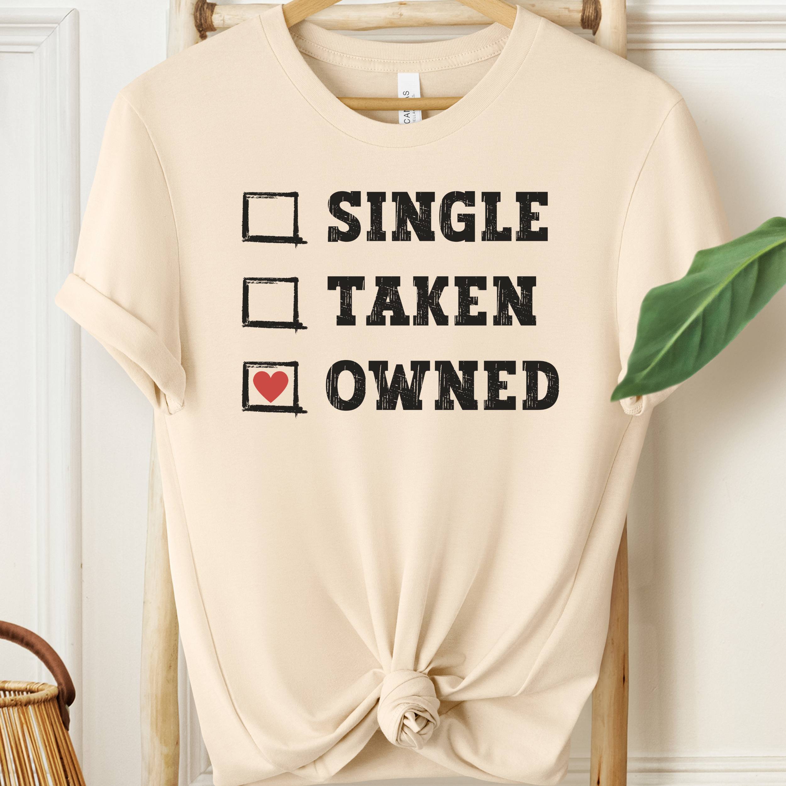Beige t-shirt with text 'Single, Taken, Owned' on a wooden hanger.