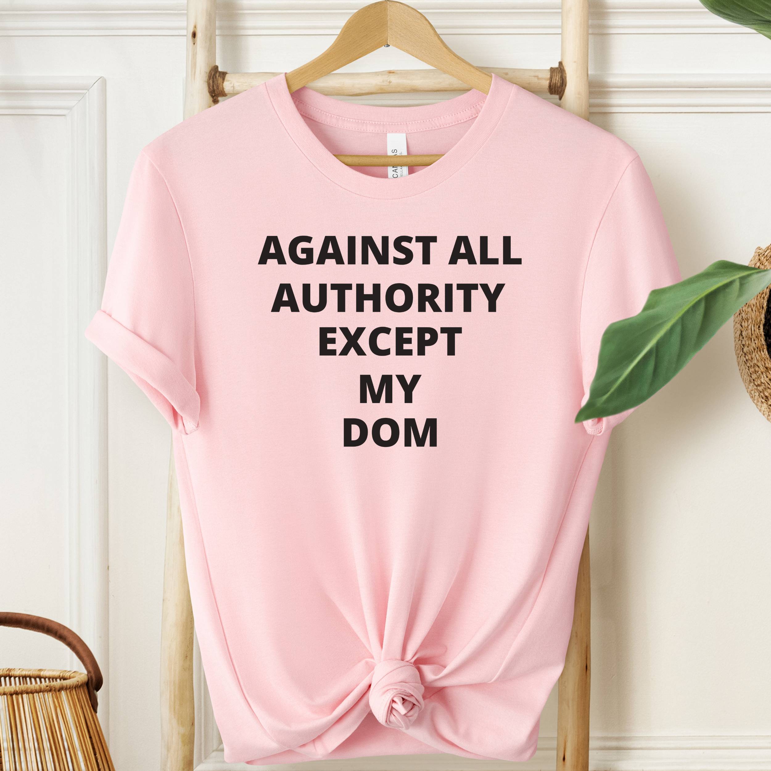 Pink t-shirt with text 'AGAINST ALL AUTHORITY EXCEPT MY DOM' on a hanger.