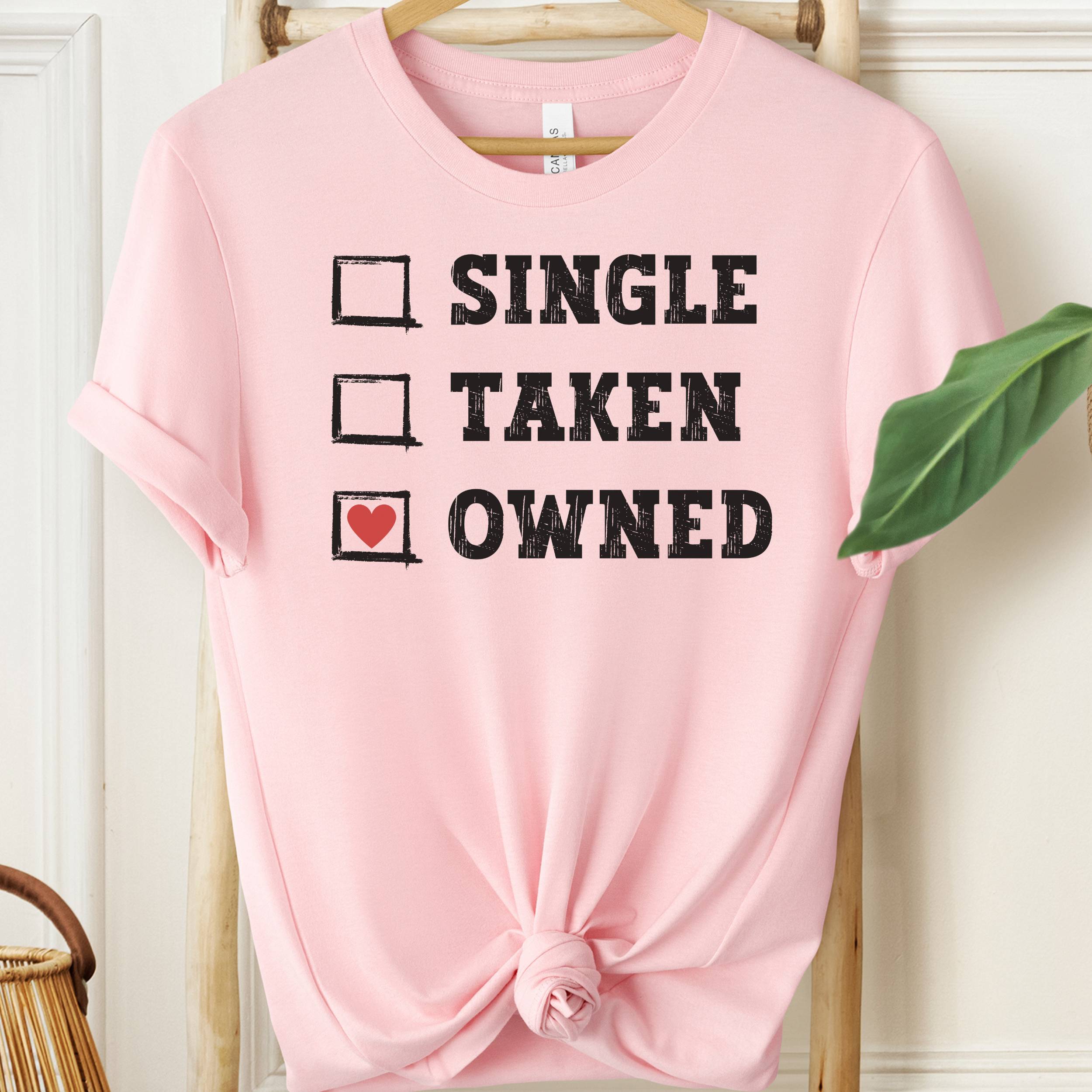 Pink t-shirt with text 'Single, Taken, Owned' on a hanger.