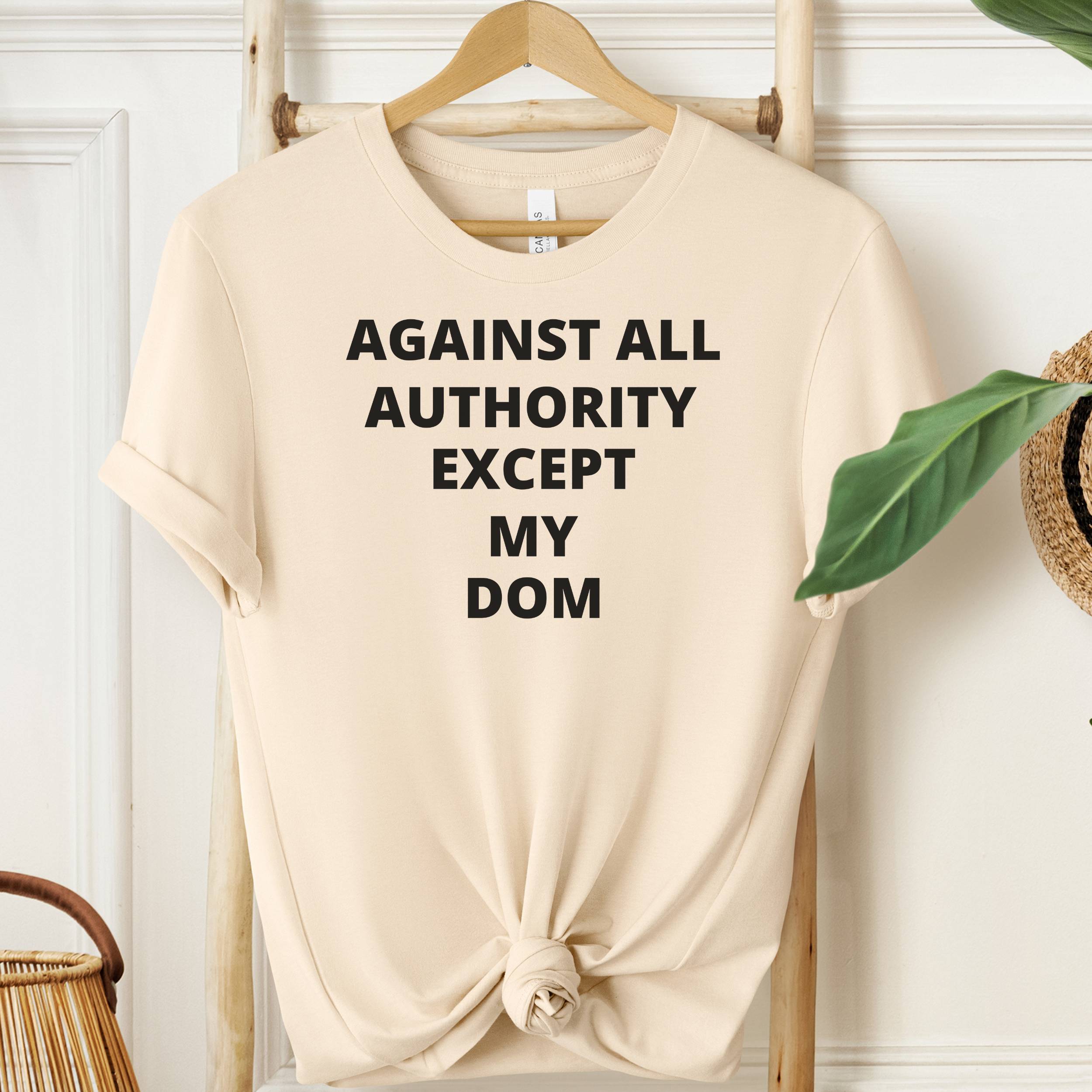 Against All Authority Except My Dom T-shirt | Funny Dom Sub Statement Tee