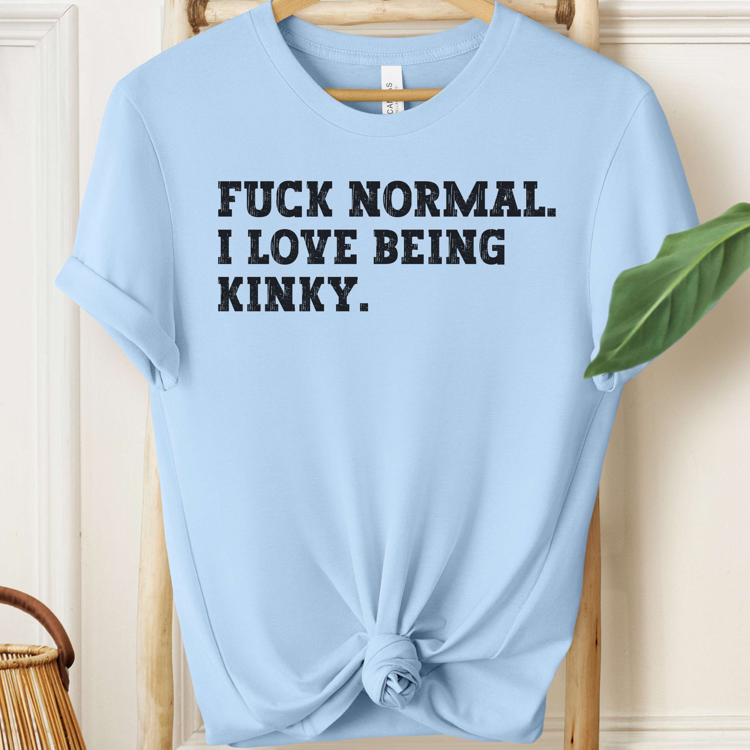 Light blue t-shirt with black text 'FUCK NORMAL. I LOVE BEING KINKY.' on a wooden hanger.