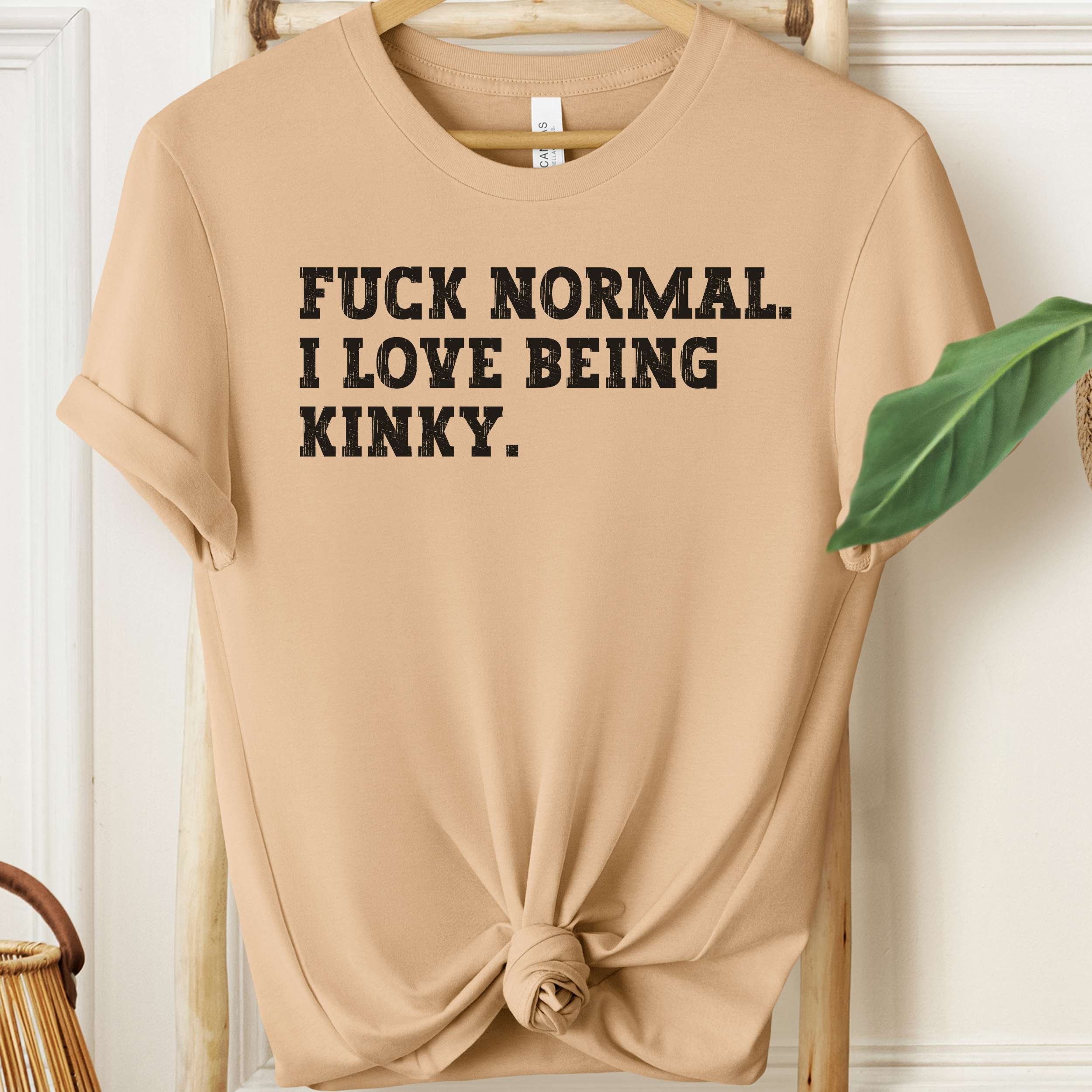Beige t-shirt with black text 'FUCK NORMAL. I LOVE BEING KINKY.' on a wooden hanger.