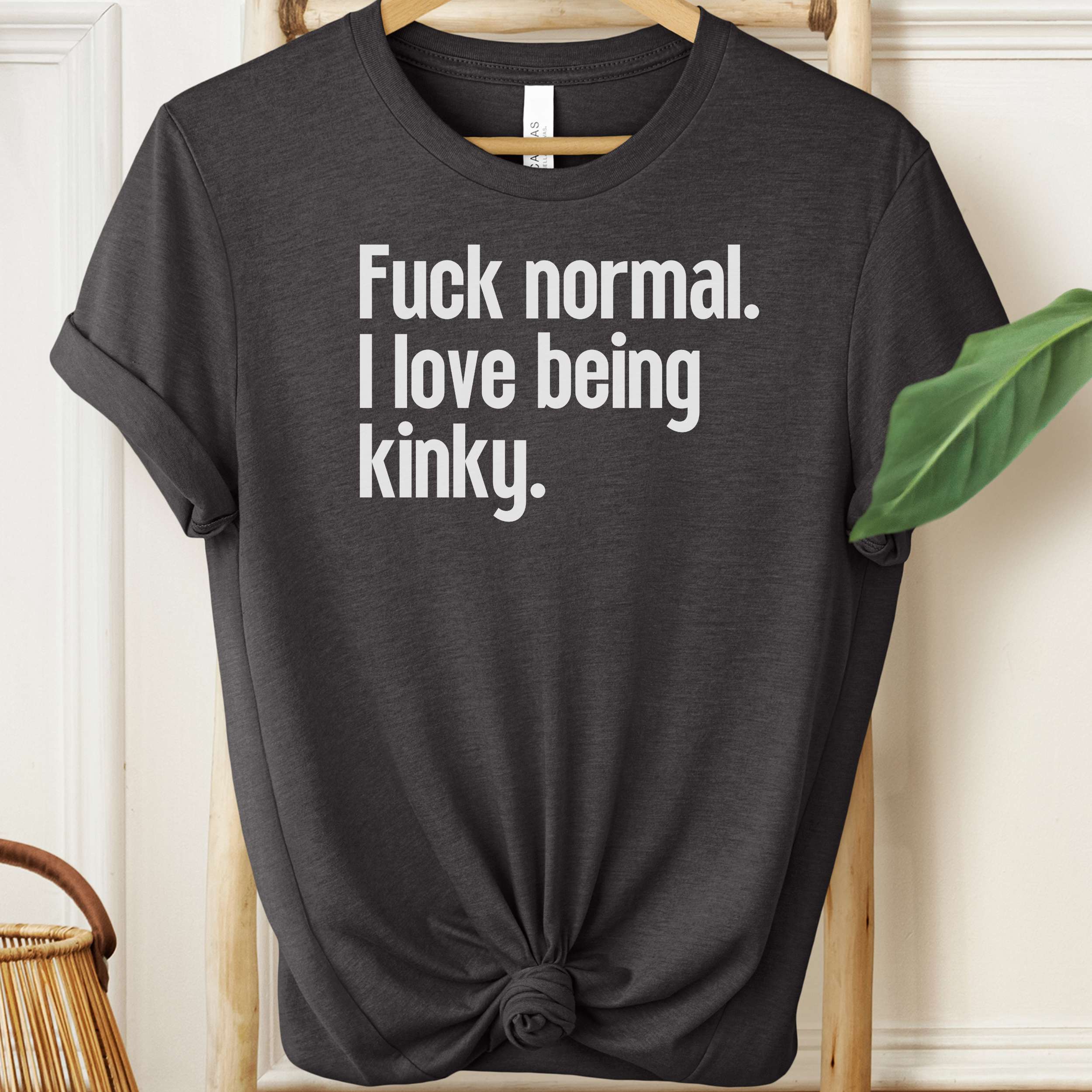 Black t-shirt with white text 'Fuck normal. I love being kinky.' on a hanger.