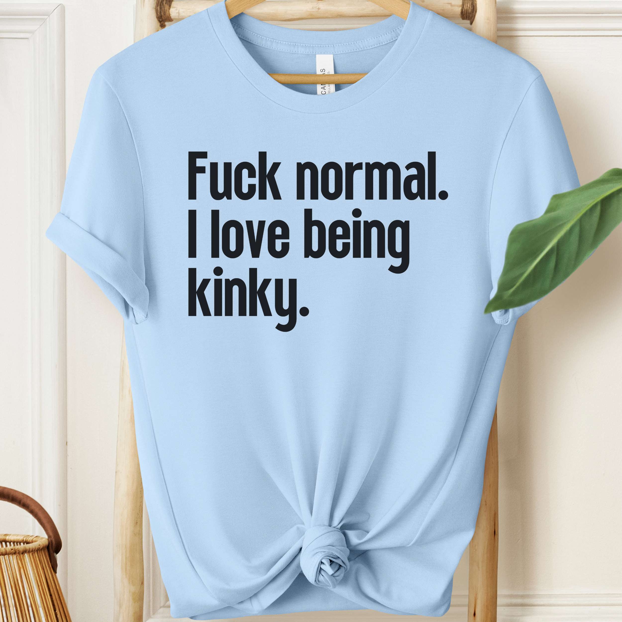 Light blue t-shirt with black text 'Fuck normal. I love being kinky.' on a wooden hanger.