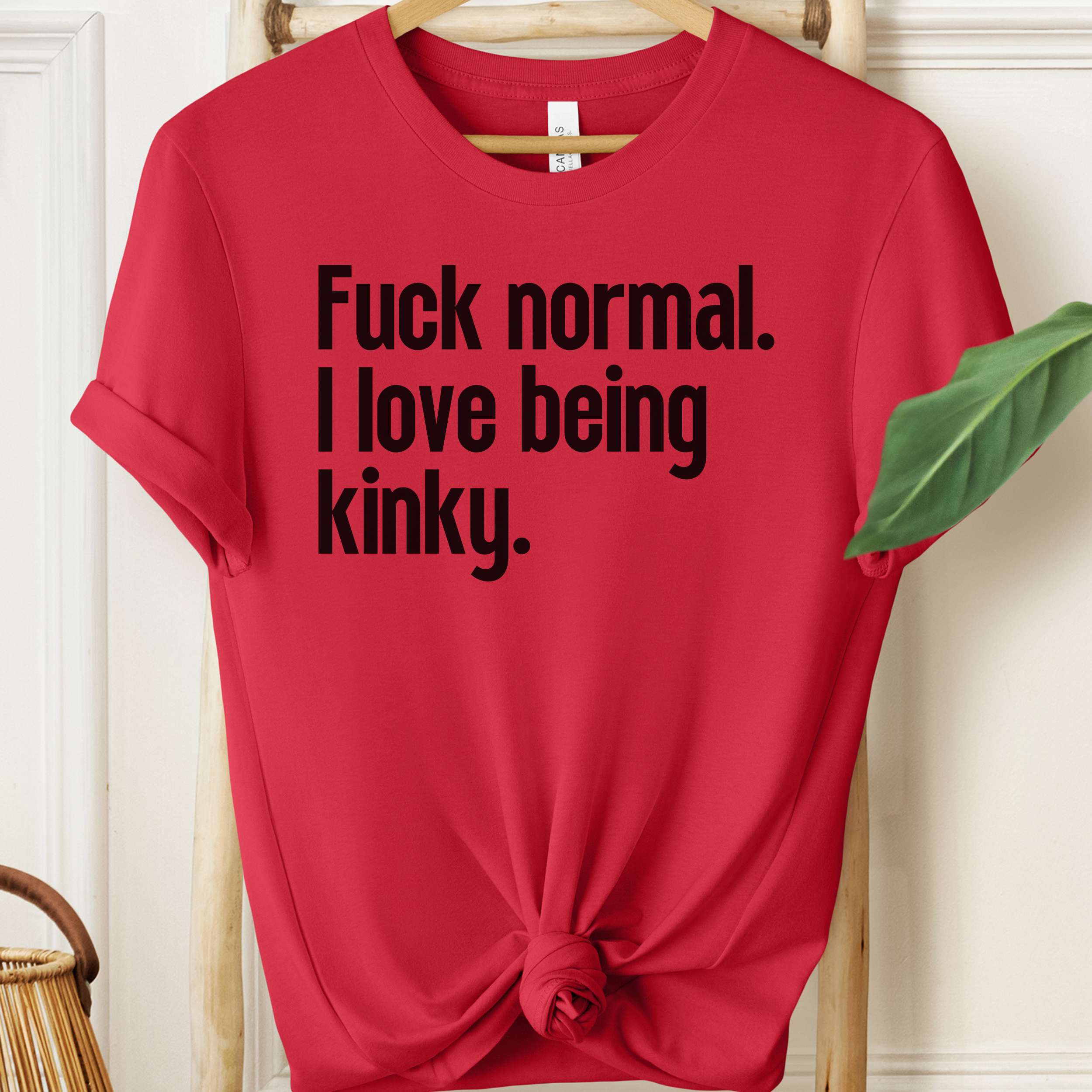 Red t-shirt with black text 'Fuck normal. I love being kinky.' on a hanger.