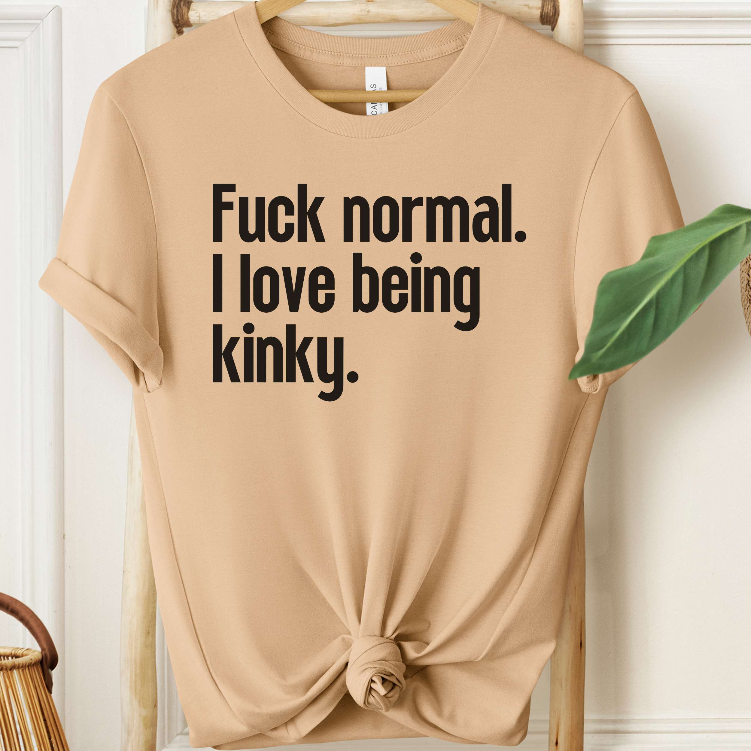 Beige t-shirt with black text 'Fuck normal. I love being kinky.' on a wooden hanger.