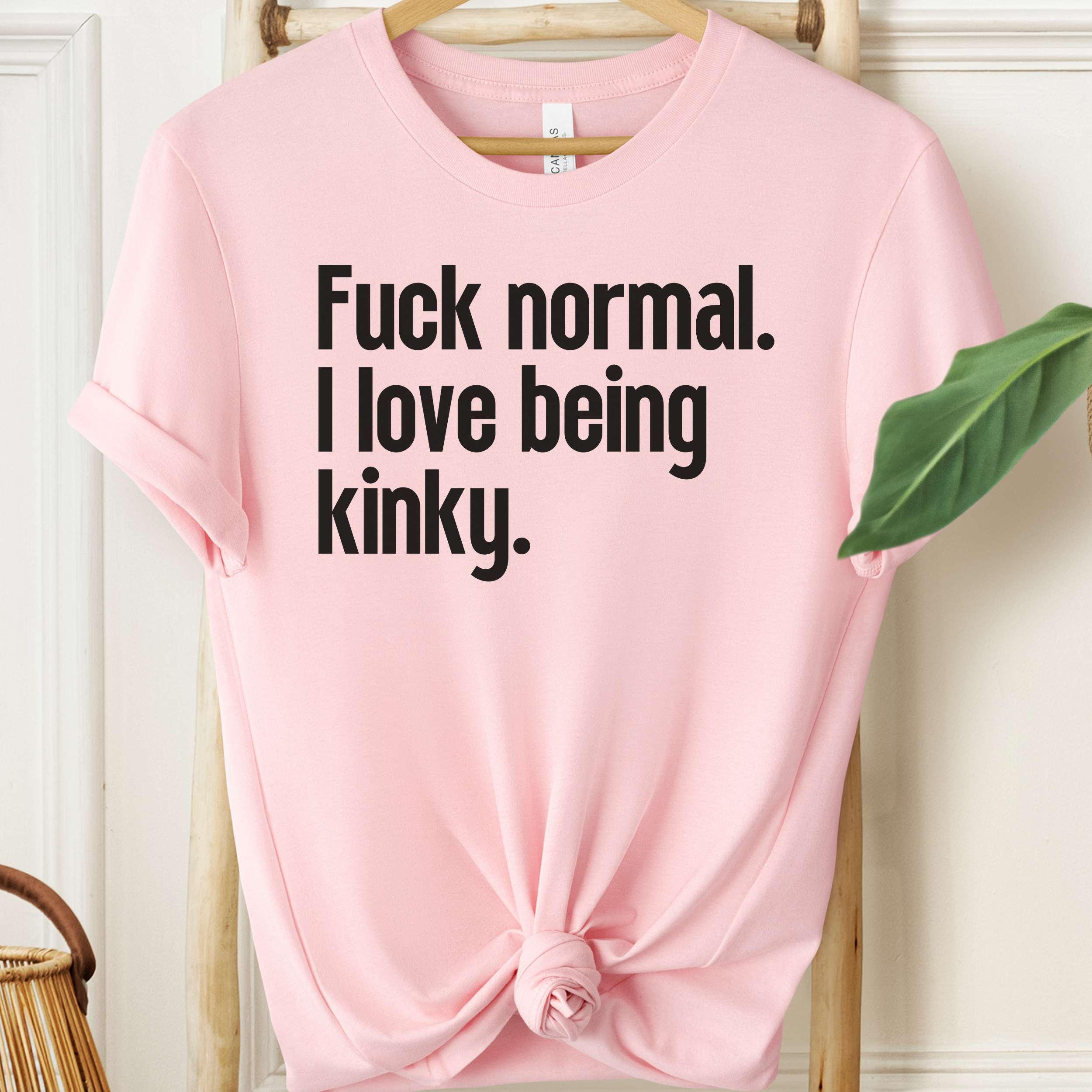 Pink t-shirt with text 'Fuck normal. I love being kinky.' on a hanger.